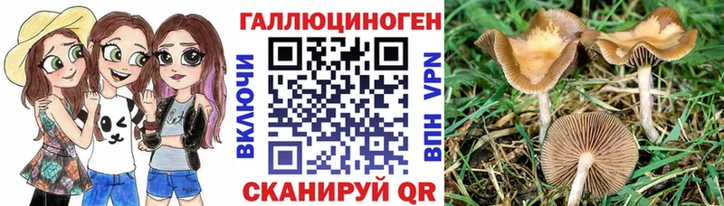 купить   блэк спрут ONION  Псилоцибиновые грибы прущие грибы  Железногорск 